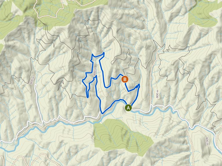 Bear Gulch to Tunnel Ridge Loop | randonnée pédestre | Komoot